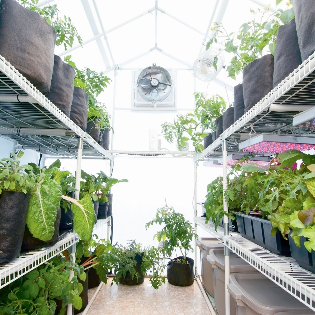 Solexx Garden Master Greenhouse Kit | Greenhouses | Garden Forests