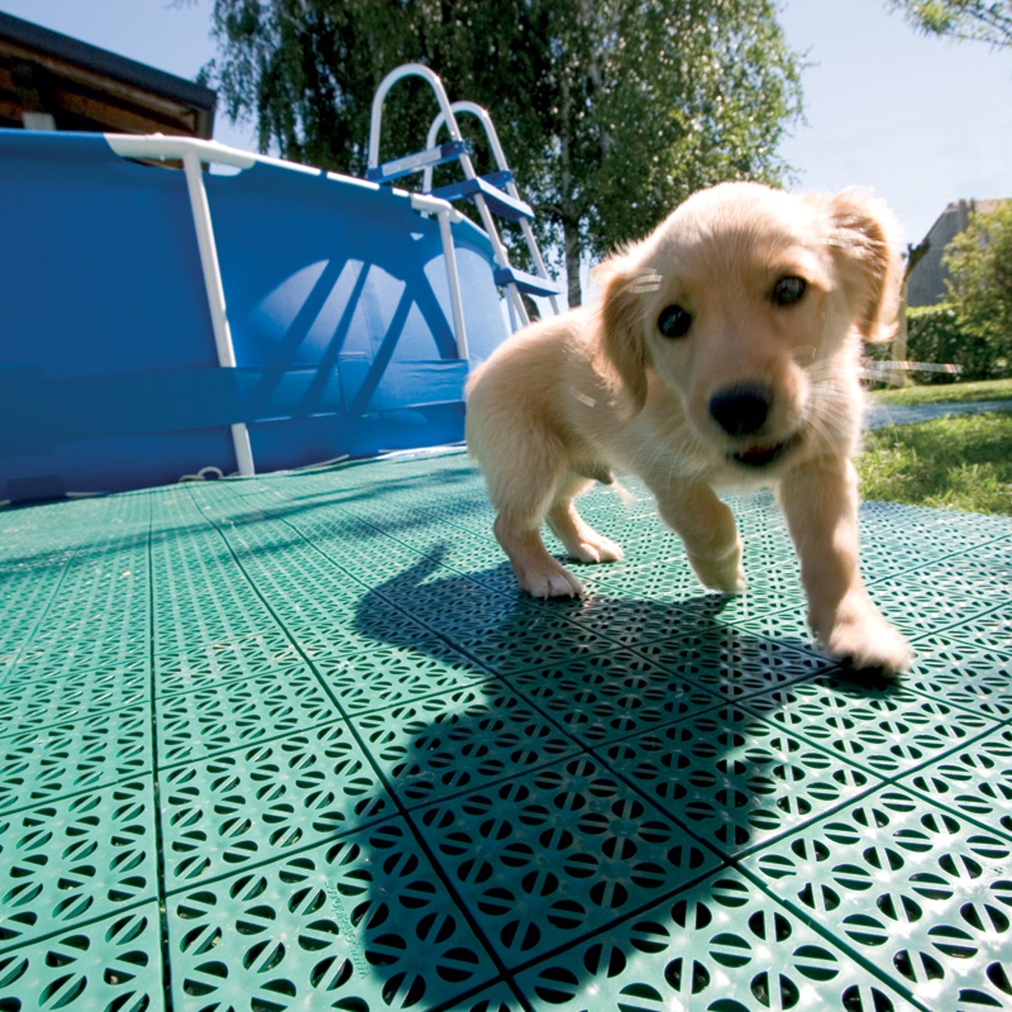 Riverstone RSI IFS Interlocking Floor System | Floor System | Garden Forests