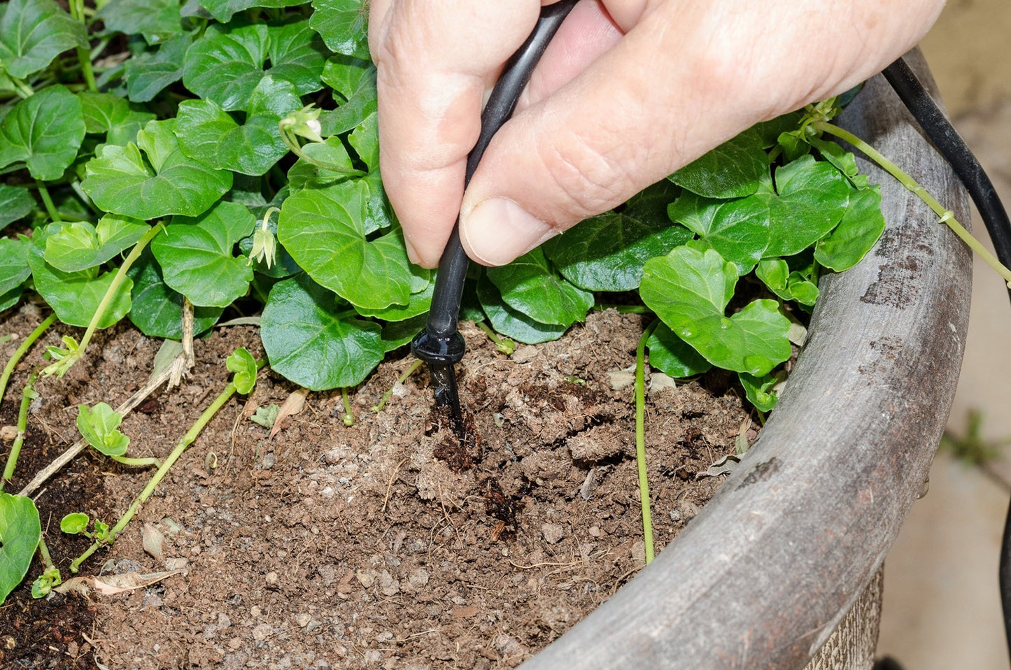 Riverstone Genesis Drip Irrigation Water Kit | Drip Irrigation | Garden Forests