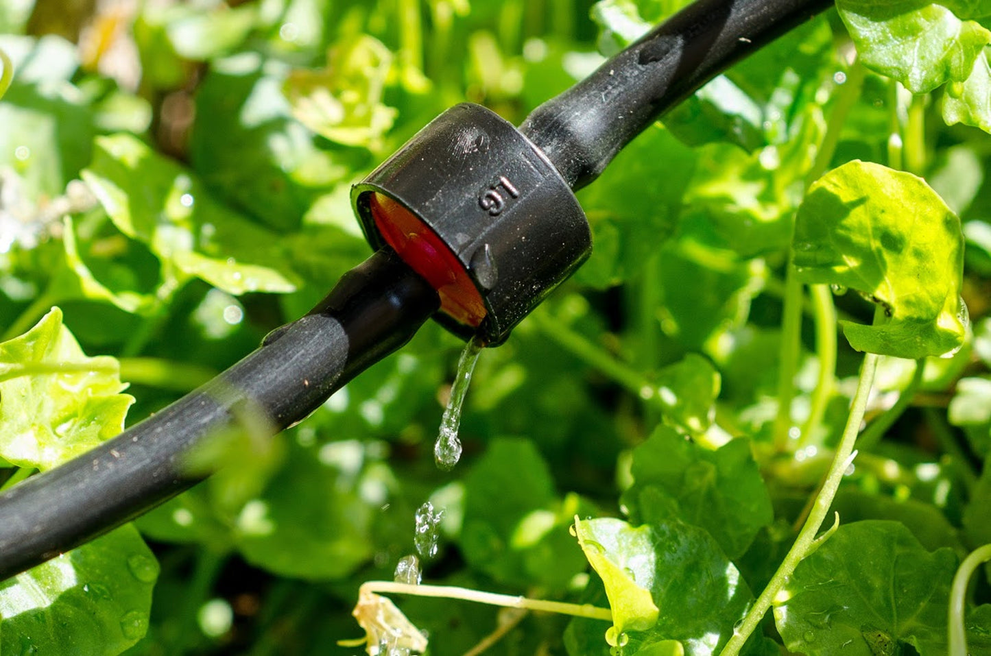 Riverstone Genesis Drip Irrigation Water Kit | Drip Irrigation | Garden Forests