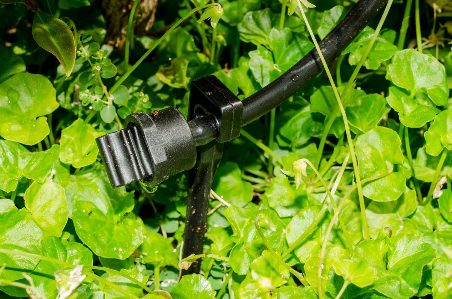 Riverstone Genesis Drip Irrigation Water Kit | Drip Irrigation | Garden Forests