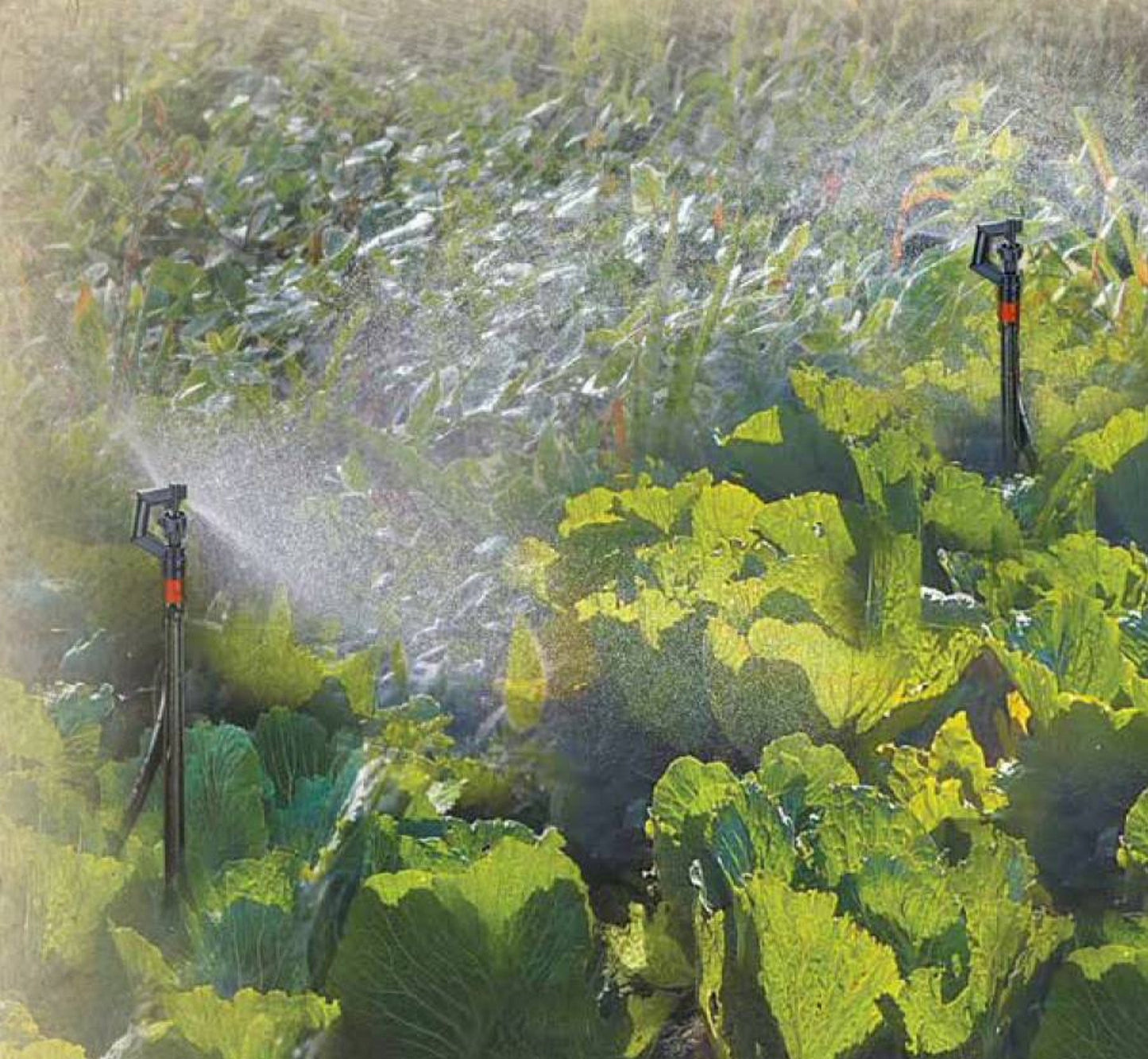 Riverstone Genesis Drip Irrigation Water Kit | Drip Irrigation | Garden Forests