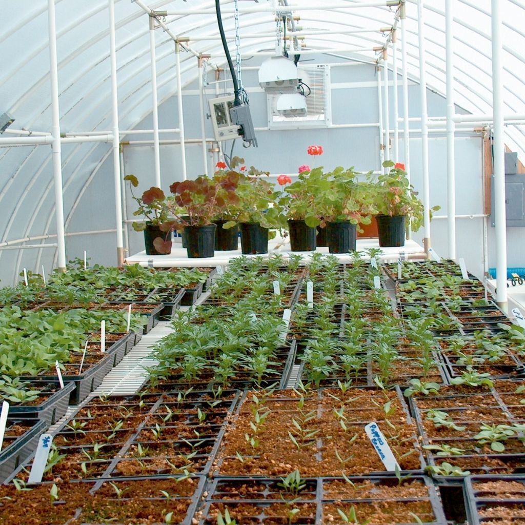 Solexx Conservatory Greenhouse Kit | Greenhouses | Garden Forests