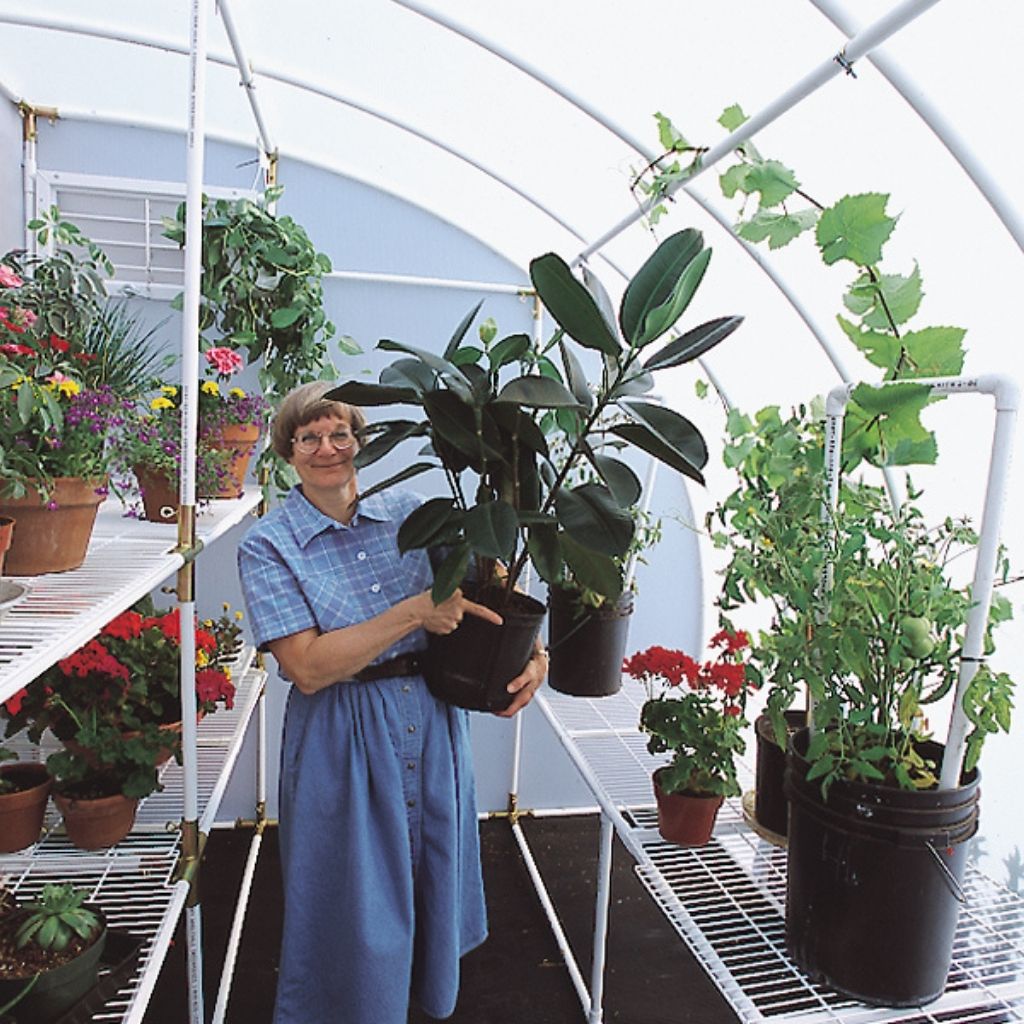 Solexx Harvester Greenhouse Kit | Greenhouses | Garden Forests