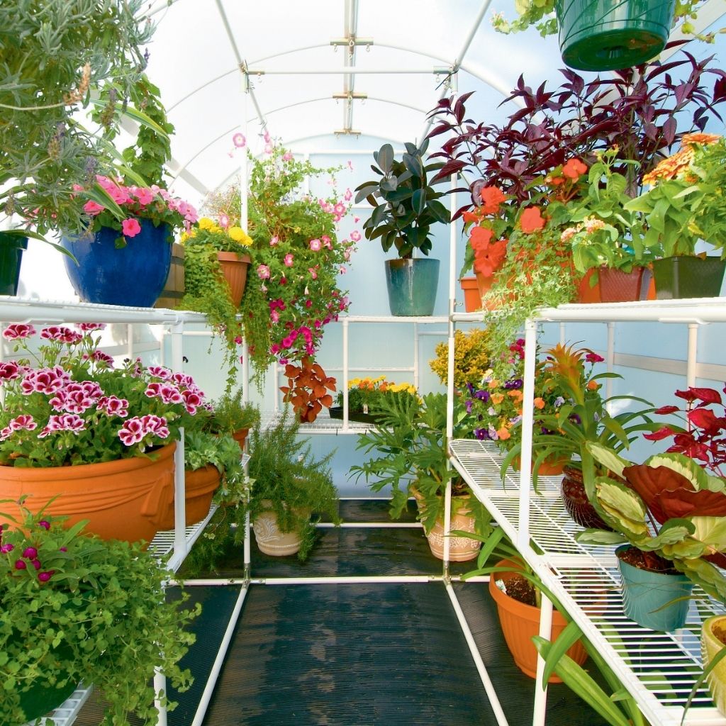  Solexx Gardener's Oasis Greenhouse Kit | Greenhouses | Garden Forests